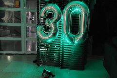 sisa4_30v-scaled